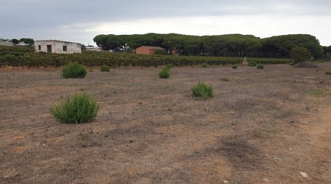 Parcela a 3km de la playa., imatge 3