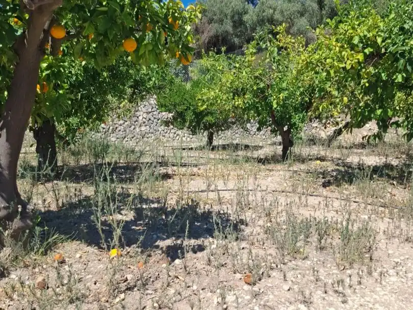 Grundstücke zum Verkauf in Beniardà