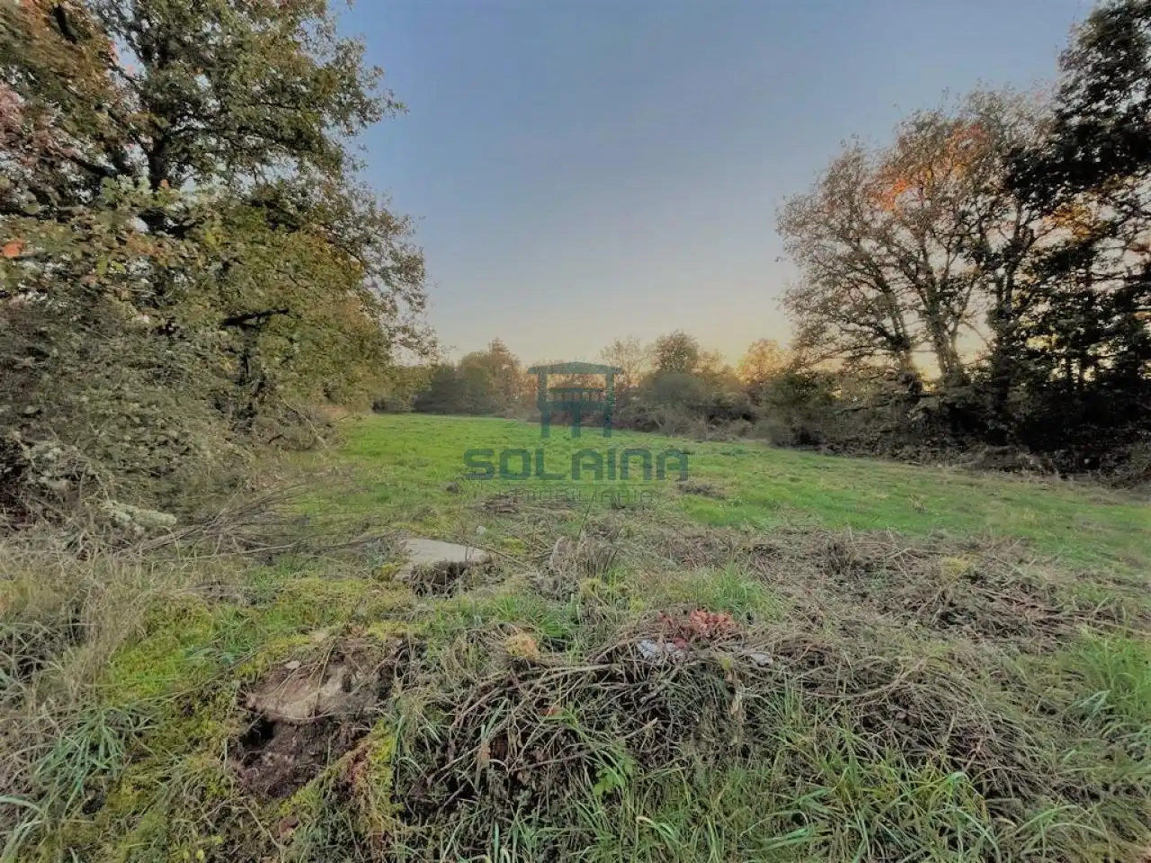 Terrenos y solares en venta en O Pereiro de Aguiar, imagen 6