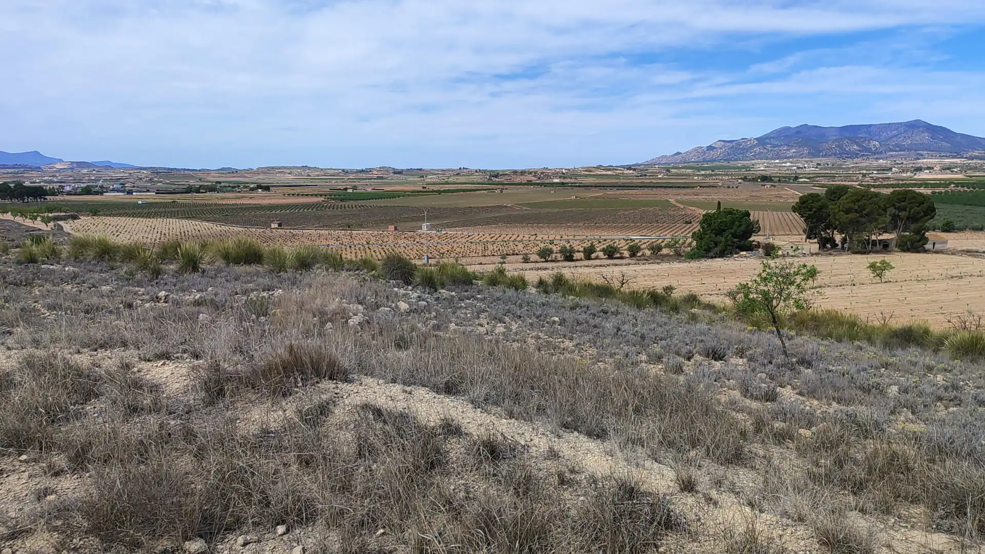 Terreno en venta en Camino del Toscar, 11, El Pinós / Pinoso