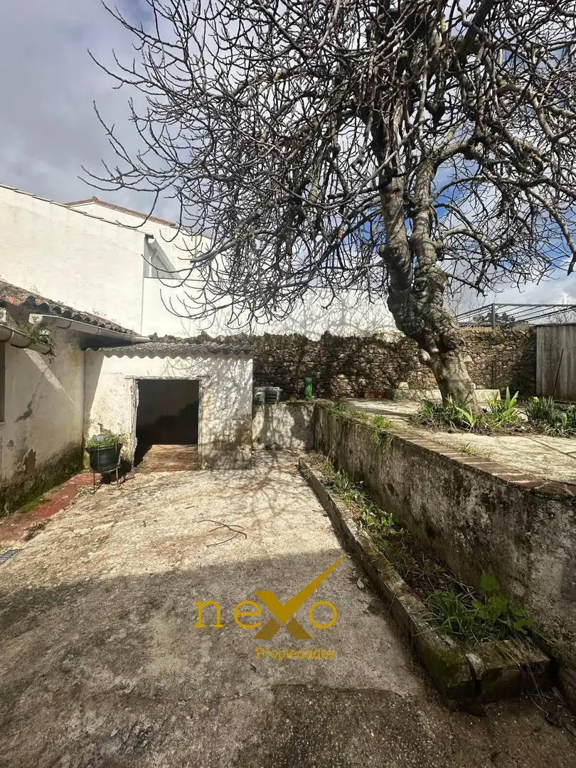 Jardí de Finca rústica en venda en San Nicolás del Puerto amb Jardí privat i Balcó
