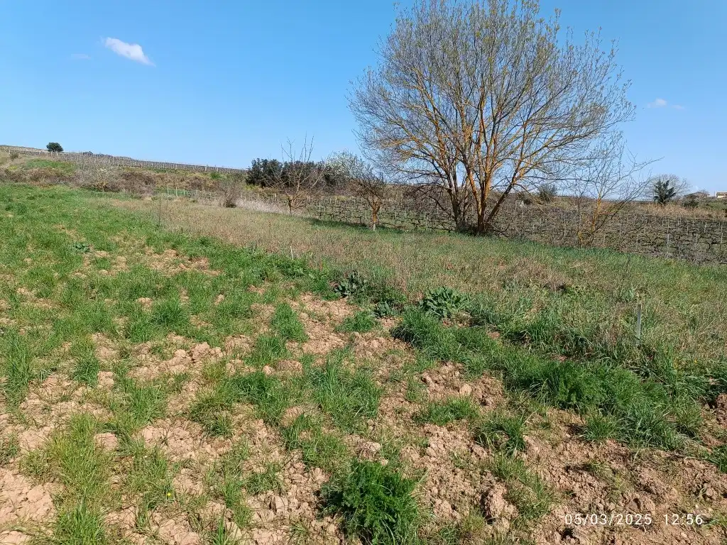Rustikales Grundstück zum Verkauf in Sant Julià, imagen 7