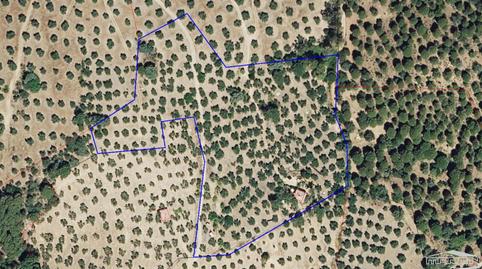 Foto 3 de Casa o chalet en venta en Paraje el Aporreadero, Pol.4, Par.69, 69, Villaviciosa de Córdoba, Córdoba