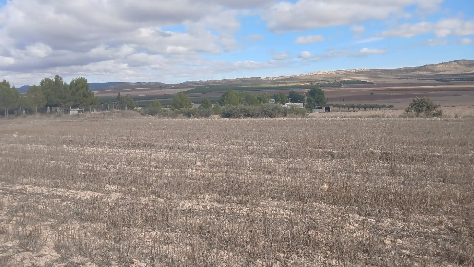 Residential land for sale in Yecla, imagen 4