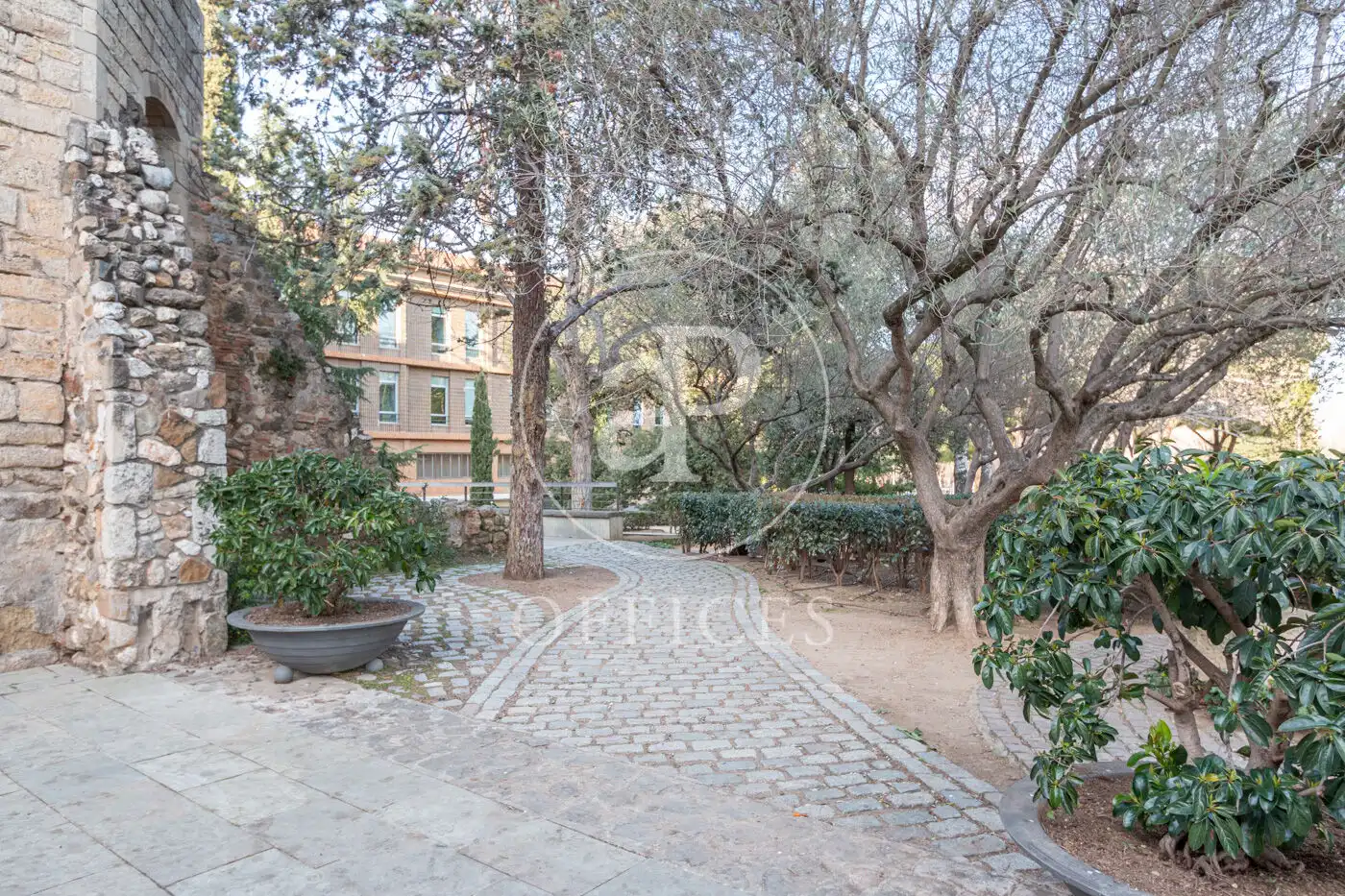 Oficina de lloguer a Avinguda de Cerdanyola, imagen 19
