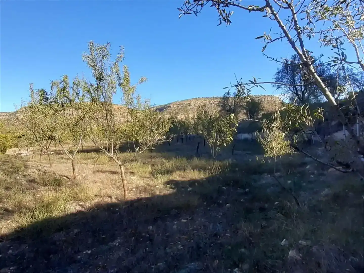 Terreno en venta en Algar de Mesa, Guadalajara