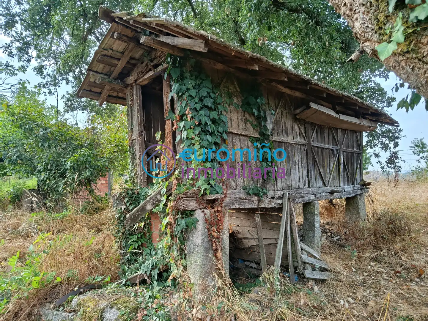 Vista exterior de Casa o xalet en venda en Salvaterra de Miño amb Jardí privat, Traster i Moblat