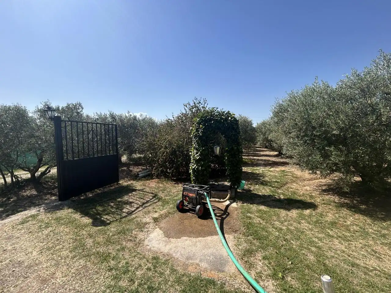 Garden of Country homes for sale in Corella  with Private garden, Terrace and Storage room