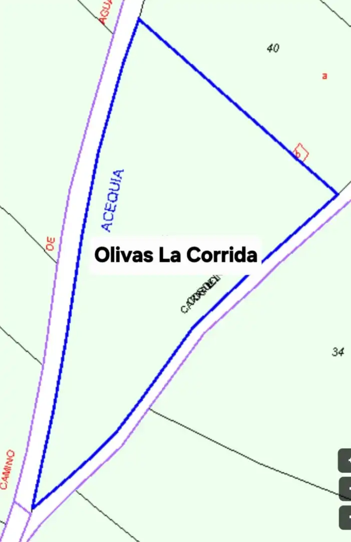Terreny en venda en Cariñena