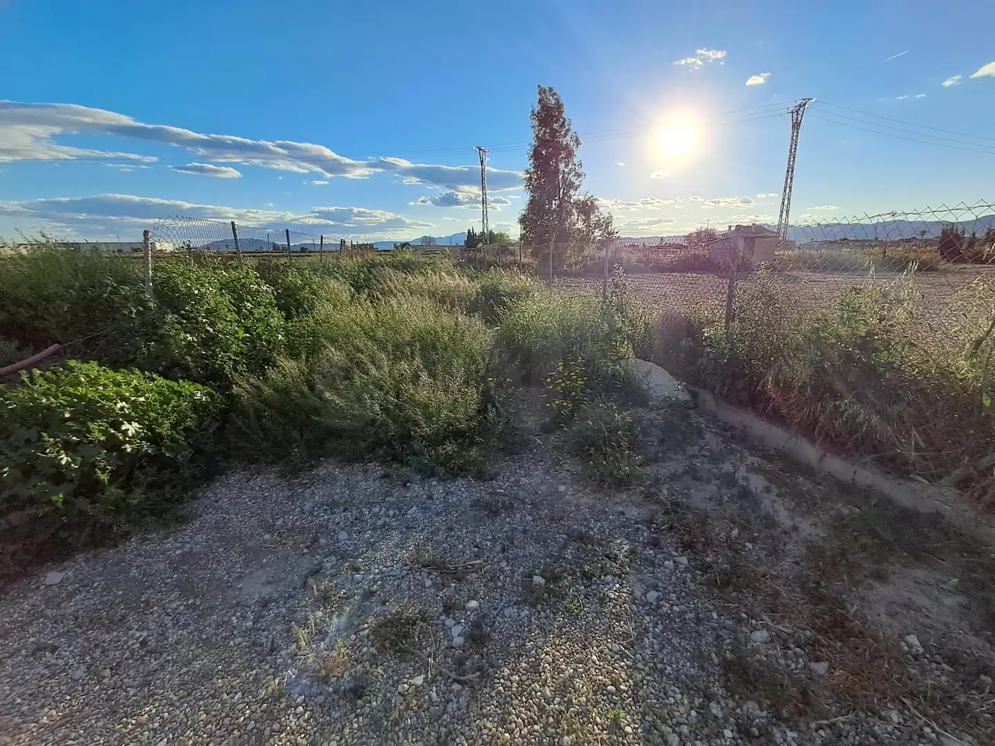 Terrenos y solares en venta en Lorca Ciudad, imagen 5