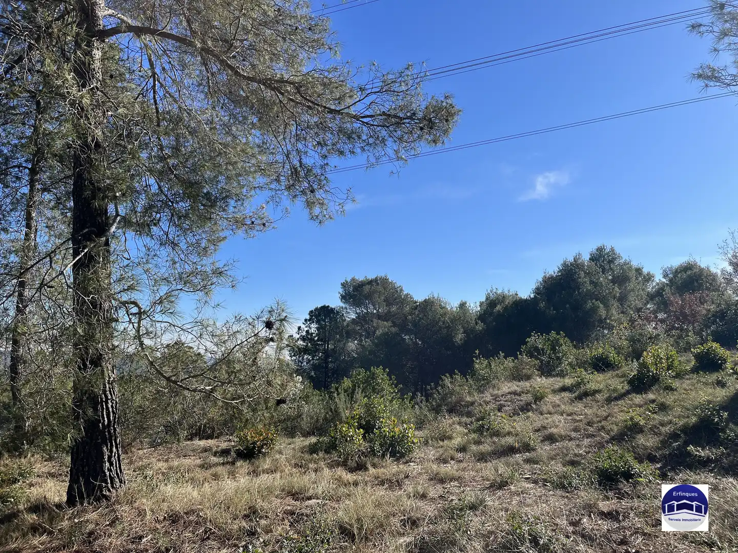 Terrain résidentiel à vendre à Carrer de Banyoles, imagen 3