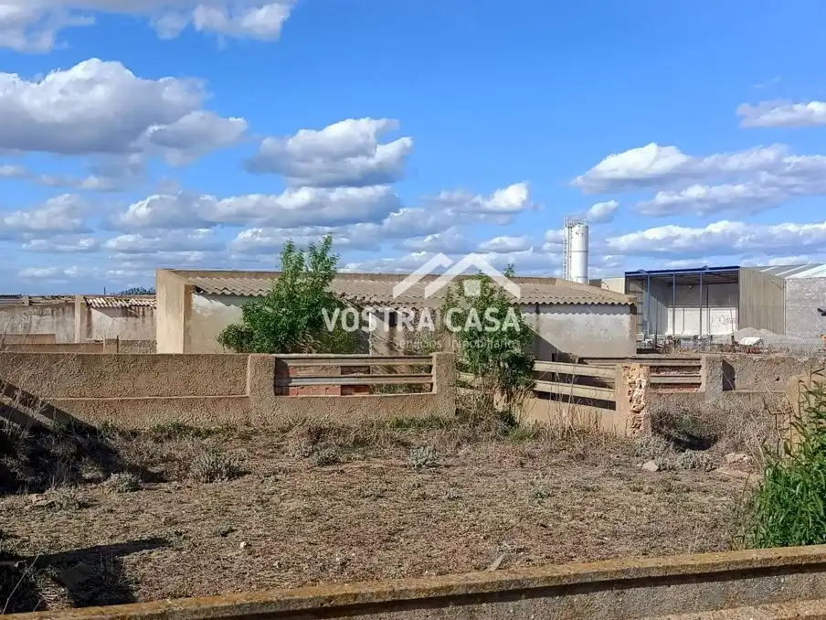 Terreny rústic en venda a PARAJE DE LA CERCA, imagen 14
