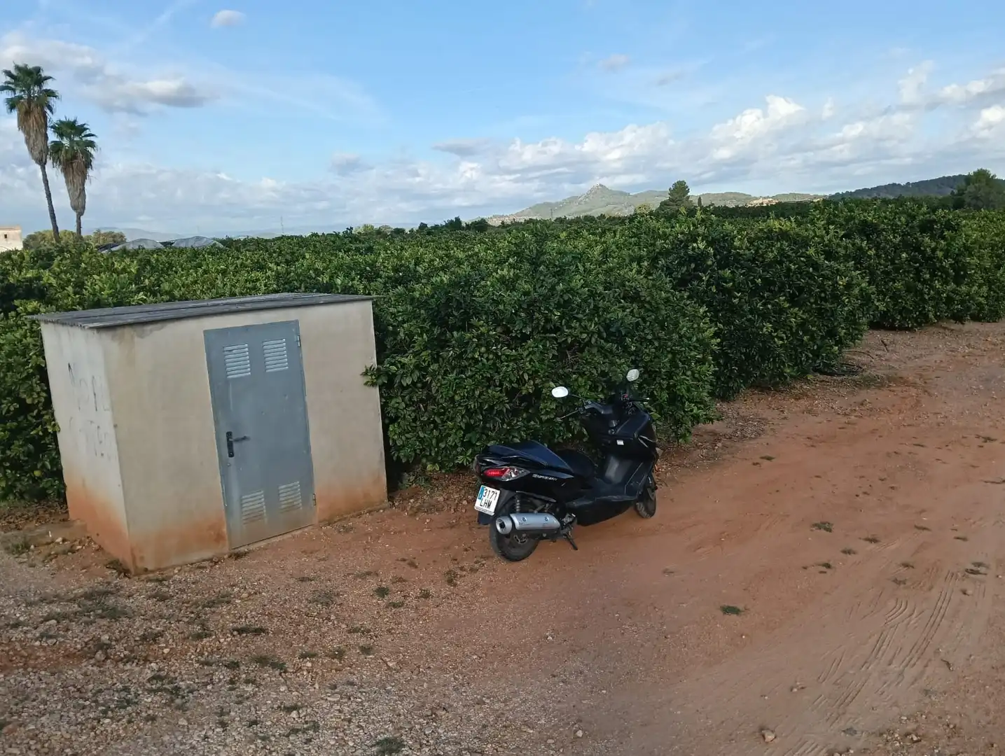 Terreny rústic en venda a Llocnou d'En Fenollet, imagen 5