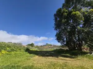 Vista exterior de Finca rústica en venta en El Rosario con Jardín privado, Terraza y Trastero