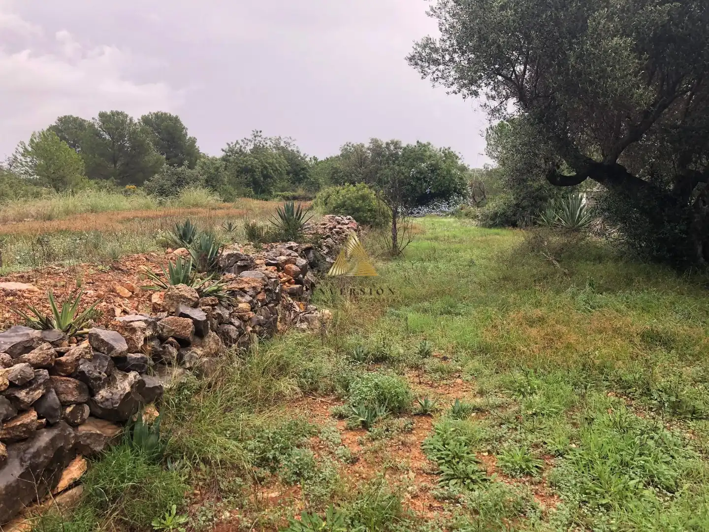 Lands and plots for sale in Las Atalayas - Urmi - Cerro de Mar, imagen 25