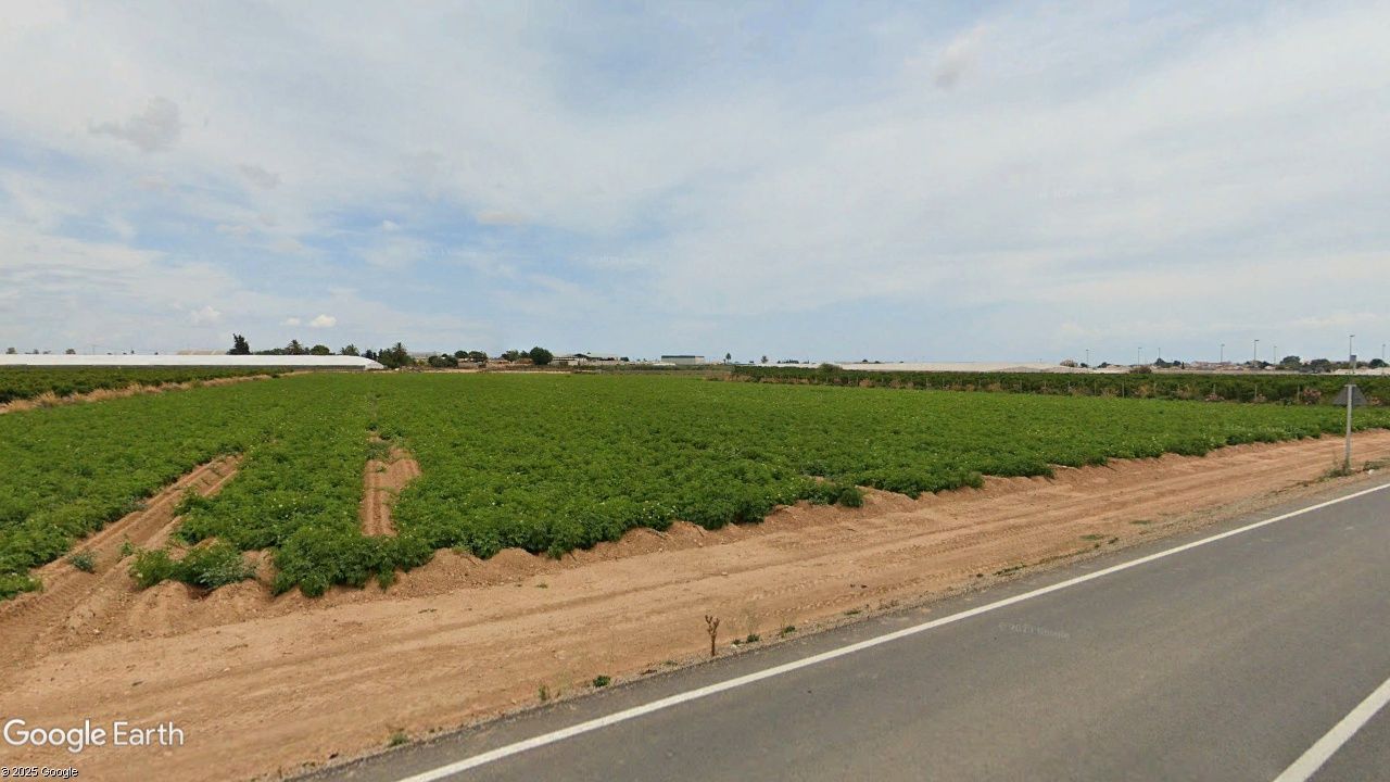 Land for sale in Torre-Pacheco
