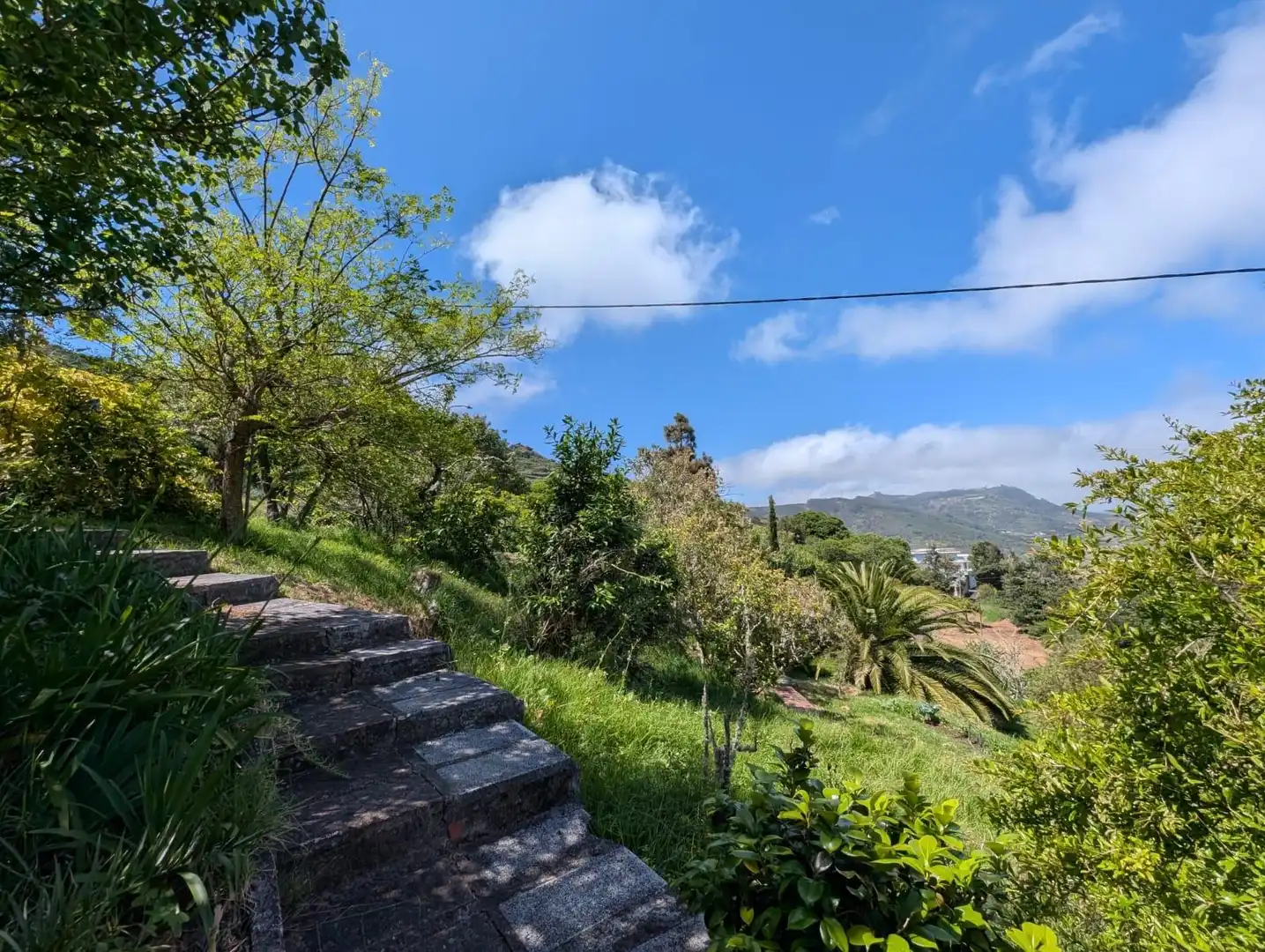 Exterior view of Houses for rent in Tegueste  with Private garden, Terrace and Swimming Pool