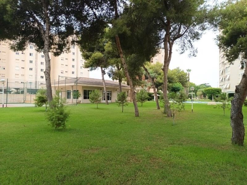 Garden of Apartment for sale in Alicante / Alacant  with Air Conditioner, Heating and Balcony