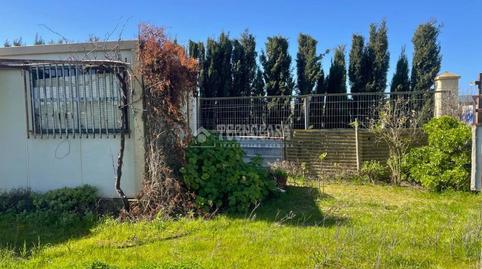 Foto 5 de Terreny en venda a Pelagatos - Pago del Humo, Chiclana de la Frontera