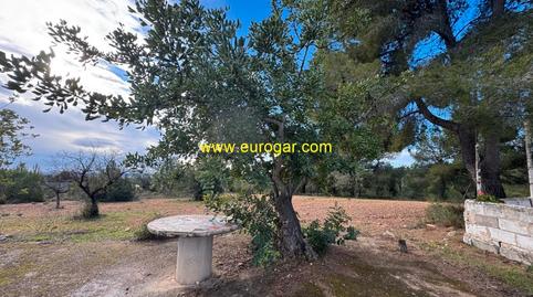 Foto 5 de Finca rústica en venda a Cheste, Valencia