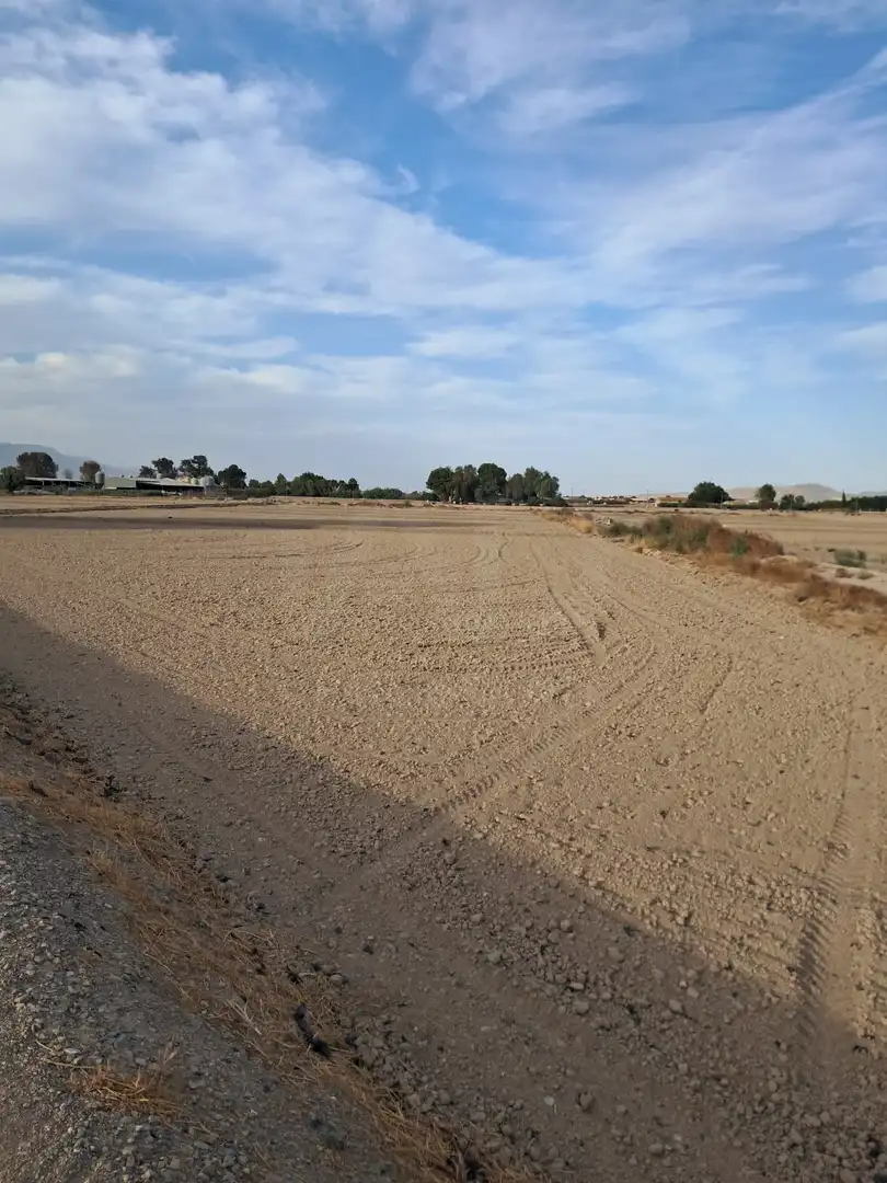 Lands and plots for sale in Pedanías Centro, imagen 13