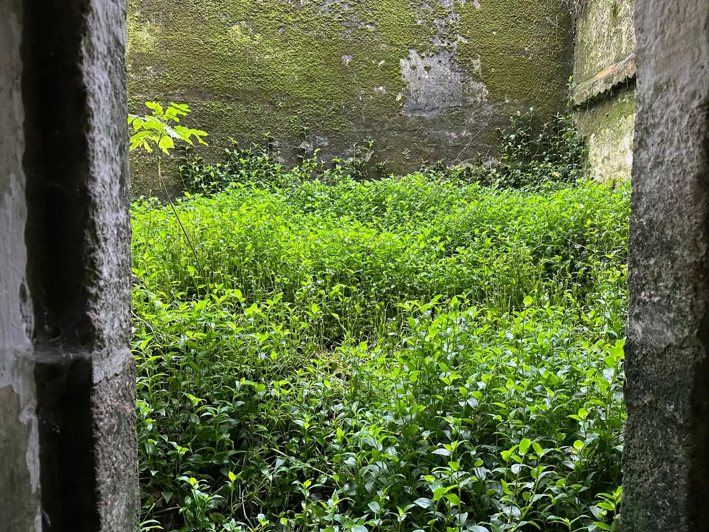 Flat for sale in Ferrol  with Private garden