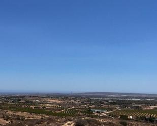 Vista exterior de Finca rústica en venda en Elche / Elx