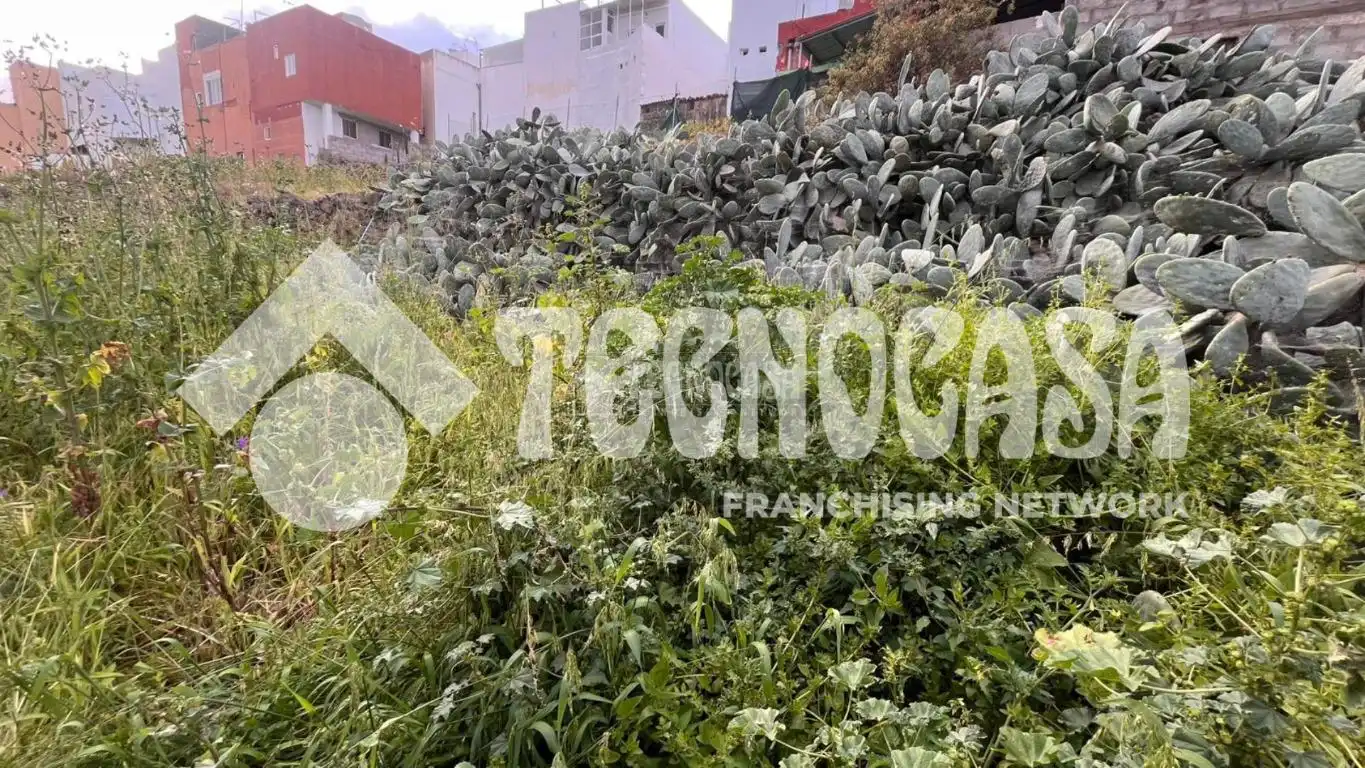 Wohnbaugrundstück zum Verkauf in Moya (Las Palmas), imagen 8