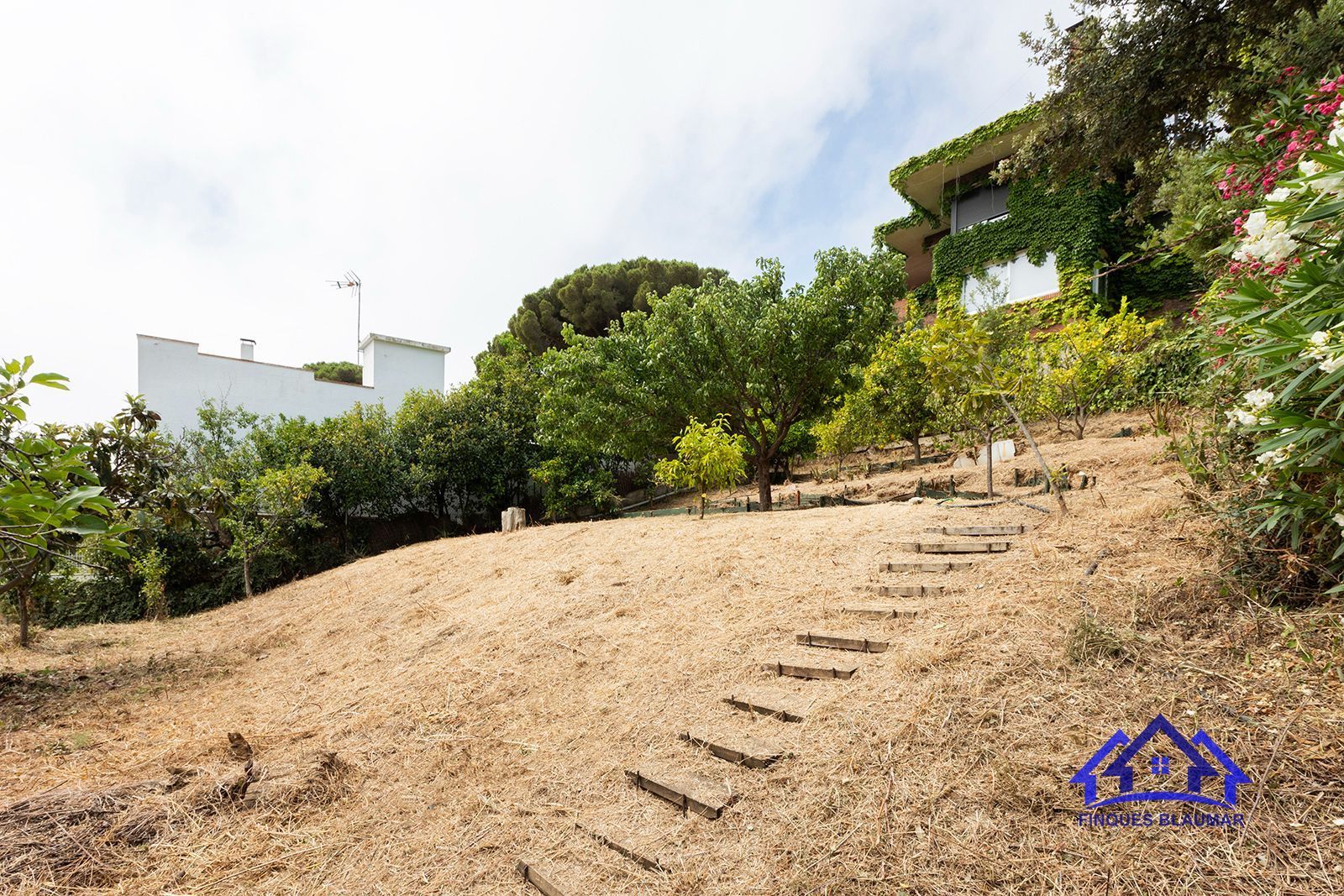 Garden of Residential for sale in Arenys de Mar