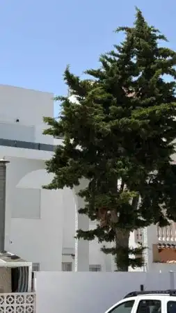 Casa in vendita a Nueva Torrevieja - Aguas Nuevas, imagen 7
