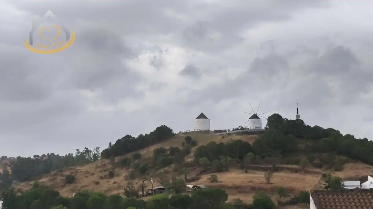 Vista exterior de Casa o xalet en venda en Sanlúcar de Guadiana amb Jardí privat, Terrassa i Moblat