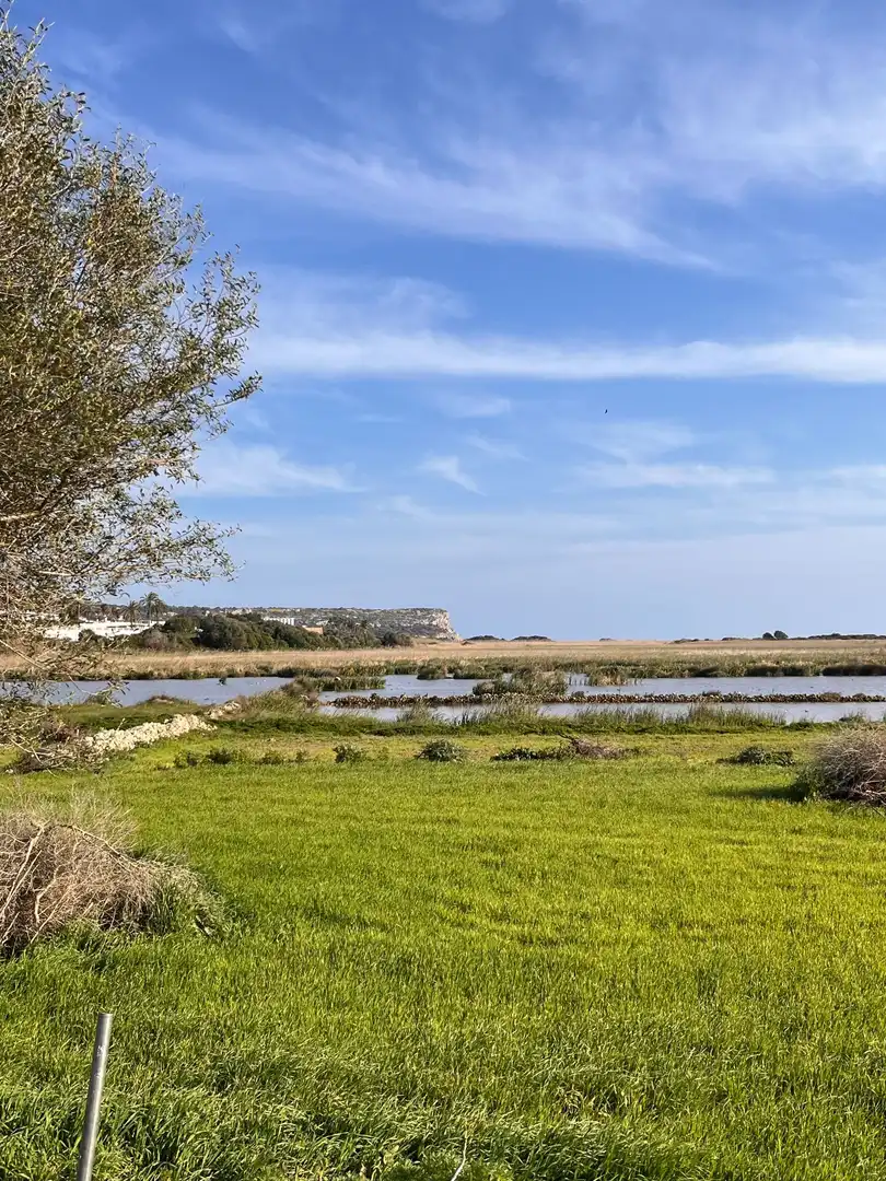 Terreno en venta en Alaior