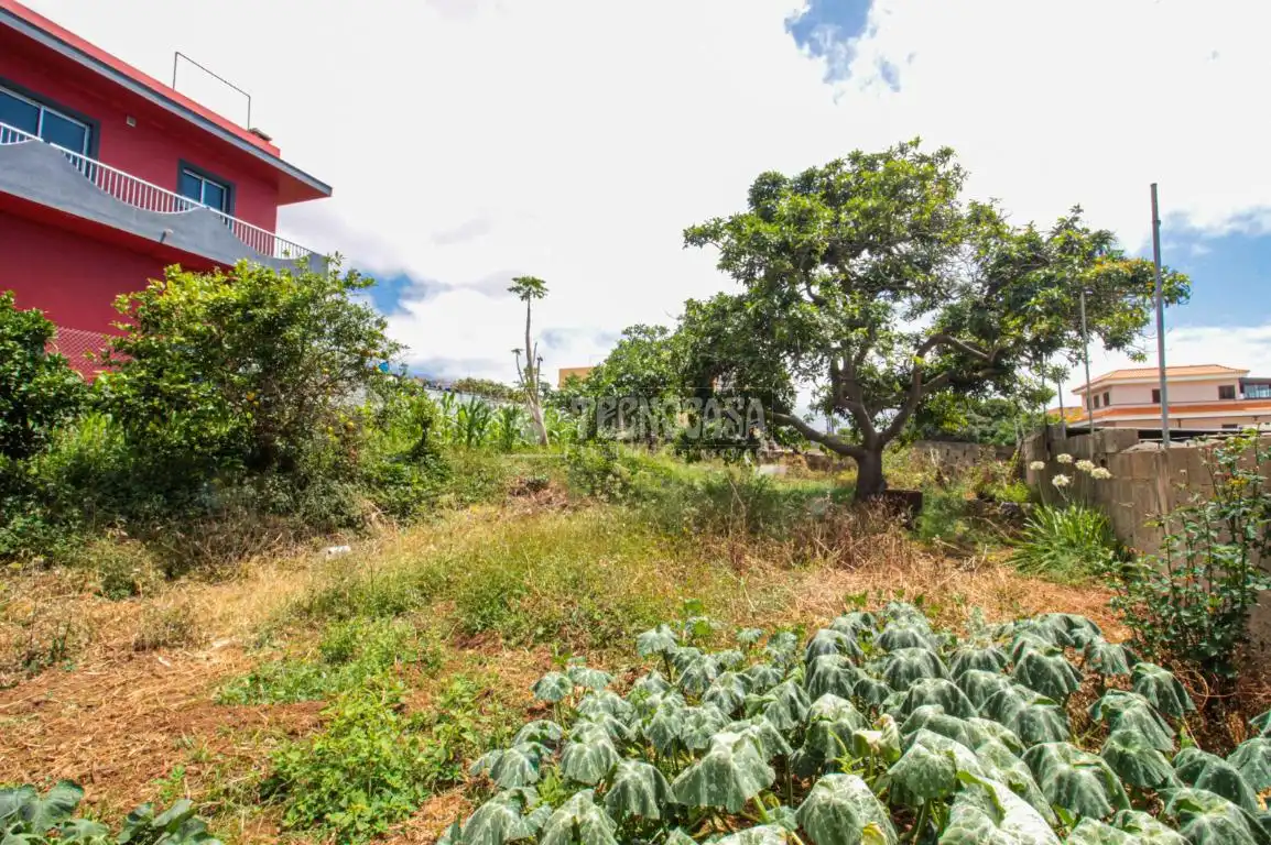 Terreno residencial en venta en El Sauzal, imagen 24