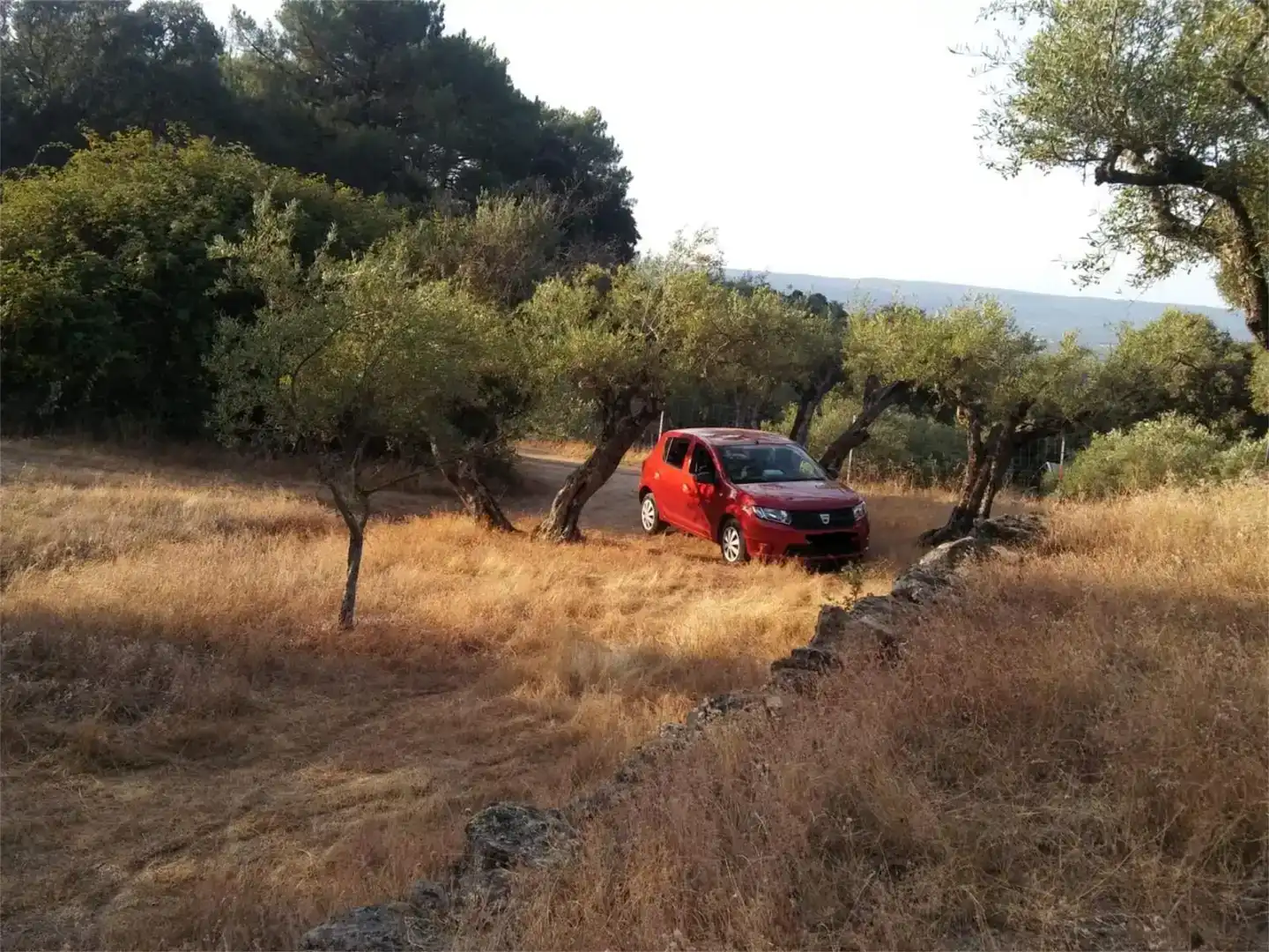 Parking de Terreno en venta en Pedro Bernardo