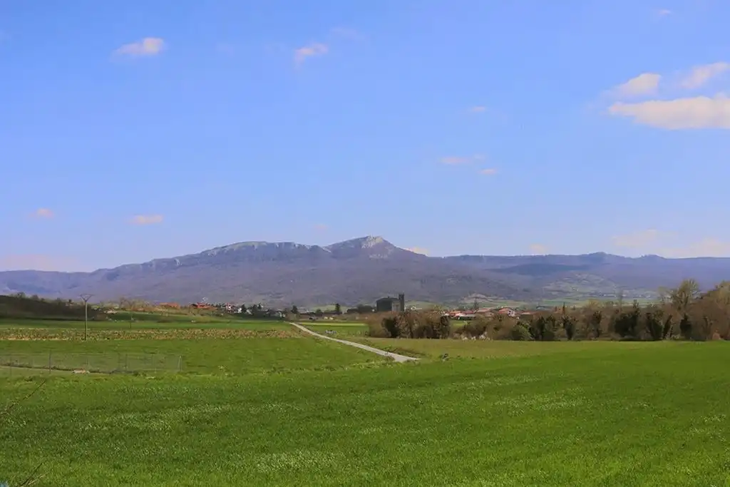 Land for sale in Zalduondo