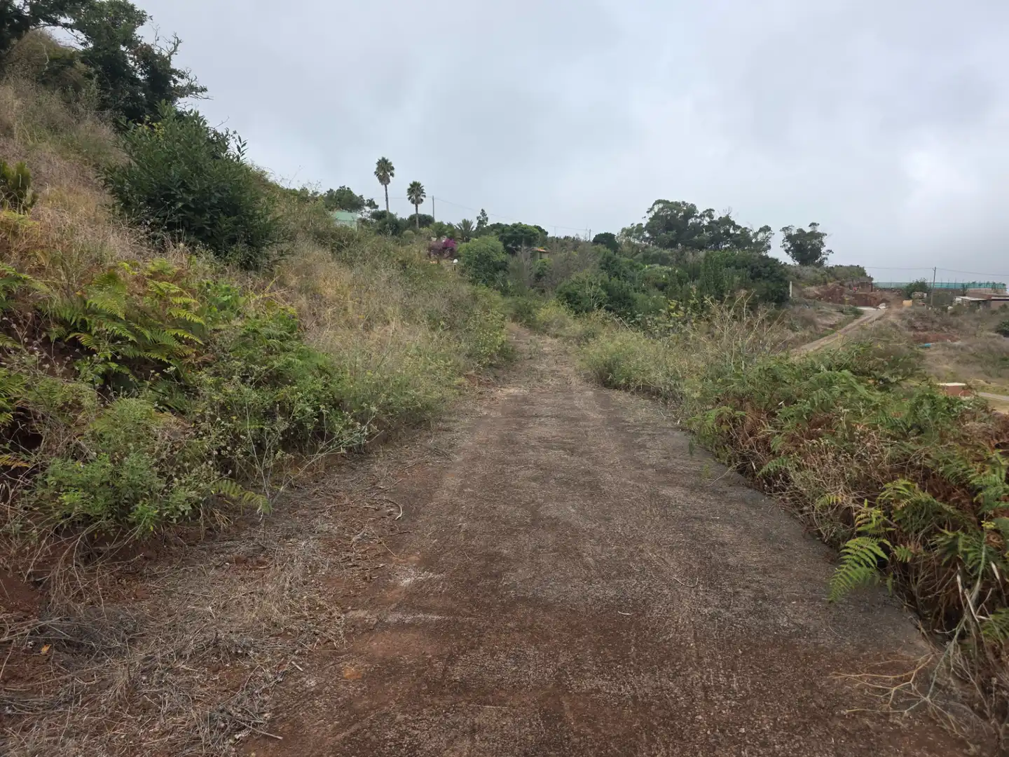 Rural land for sale in Camino las Peñuelas 11, imagen 11