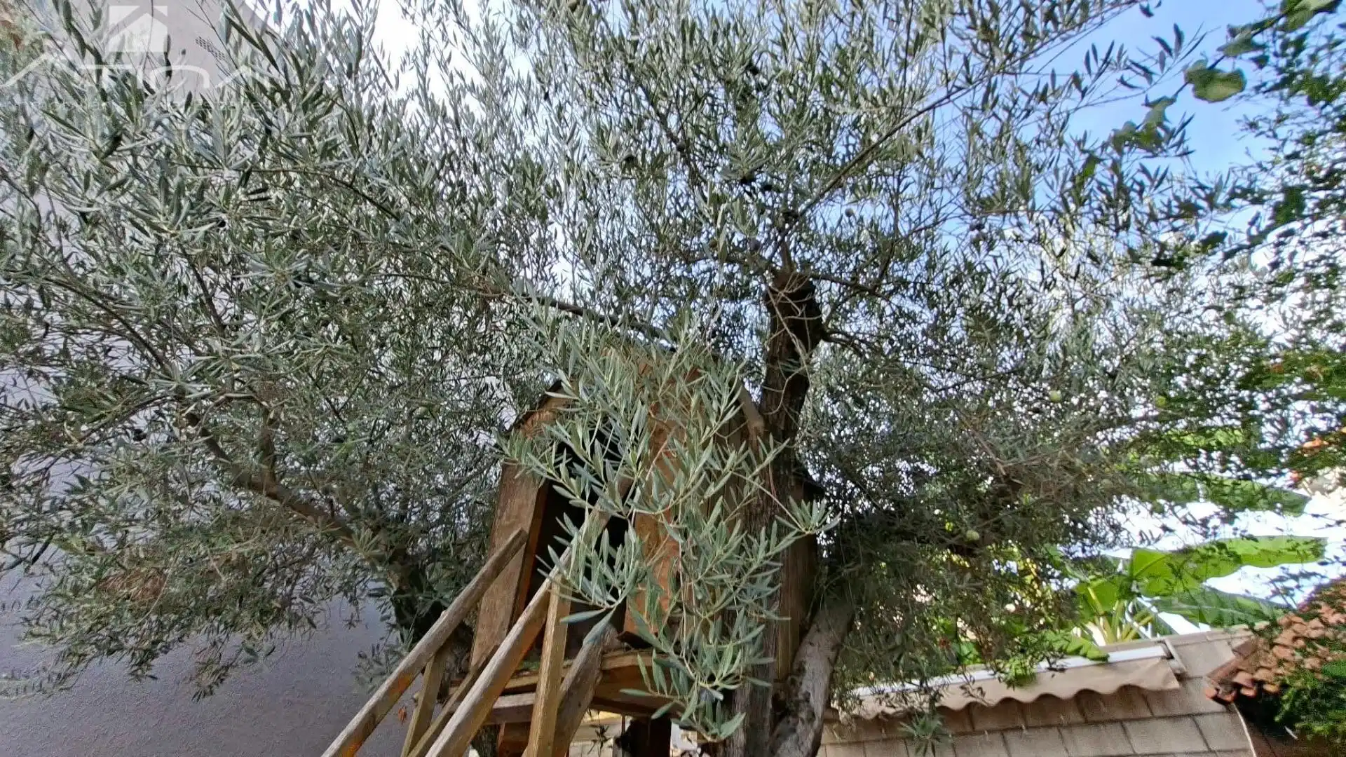 Maison jumelée avec piscine à vendre à Miramar, imagen 9