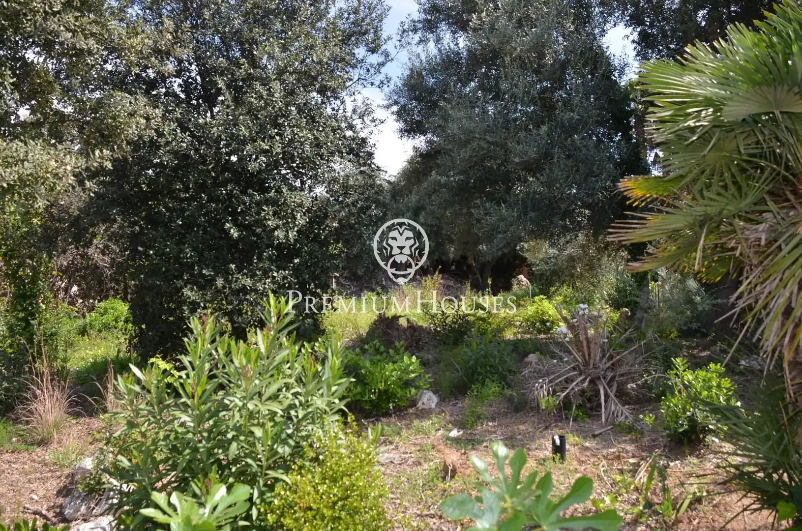 Terreno residenziale in vendita a Masnou Alt, imagen 12