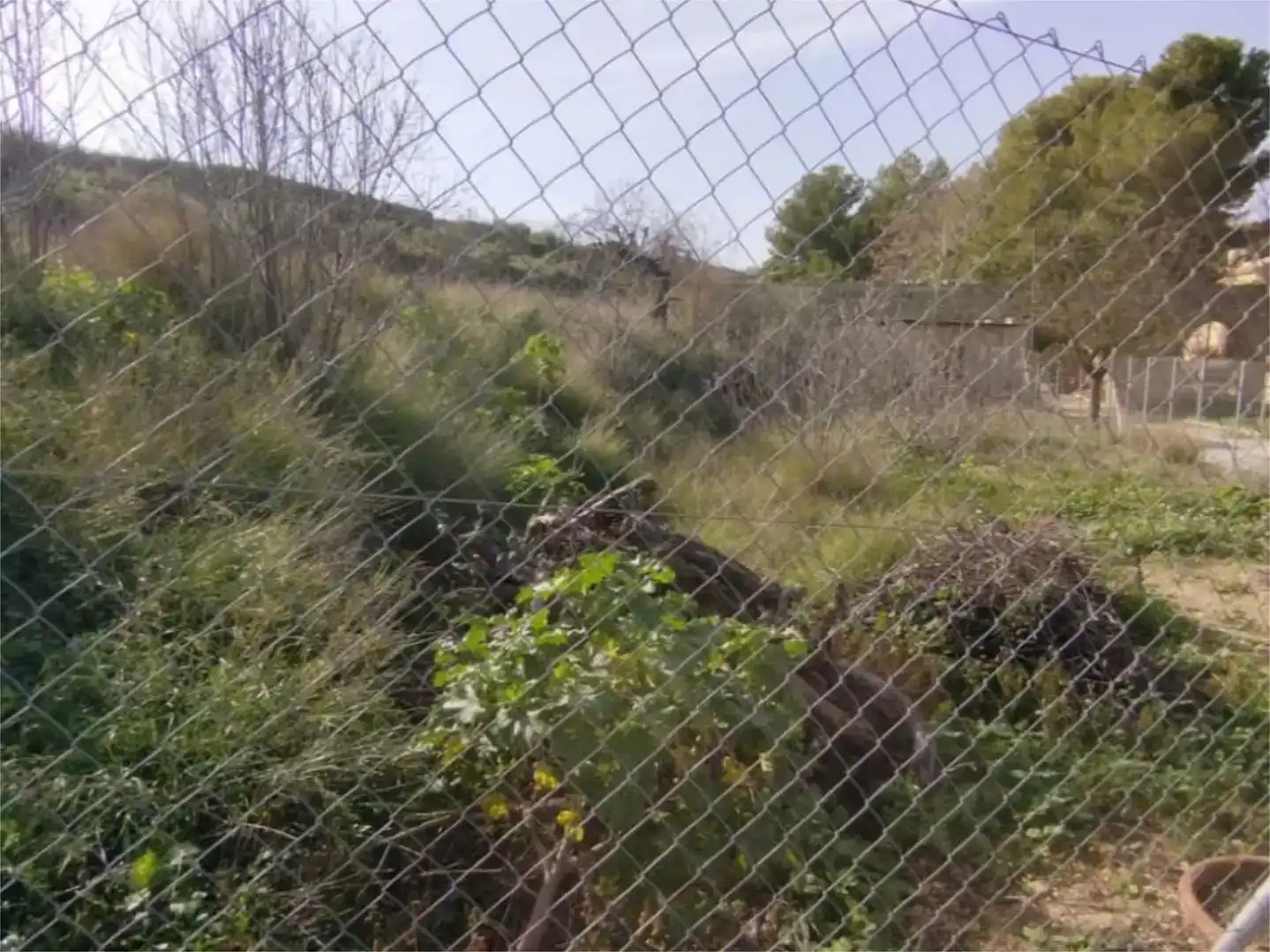 Pis en venda en Monóvar  / Monòver, Alicante