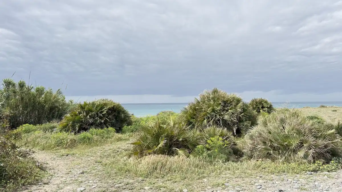 Maison mitoyenne à vendre à Benamara - Atalaya, imagen 44