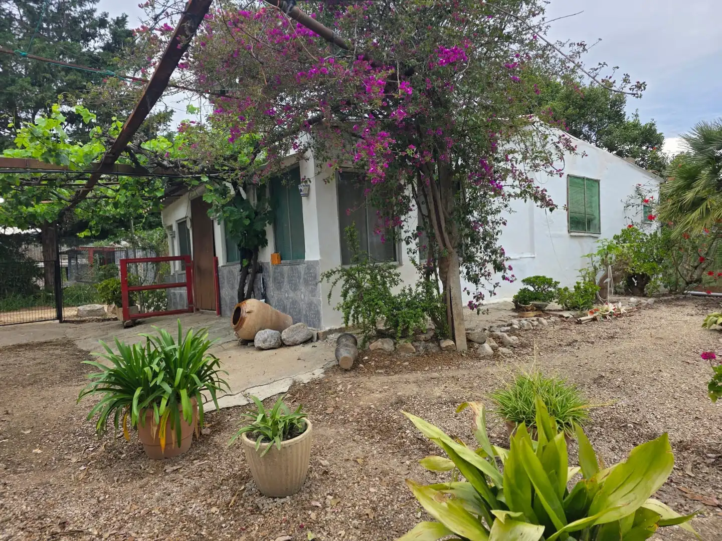 Vista exterior de Terreno en venta en Amposta