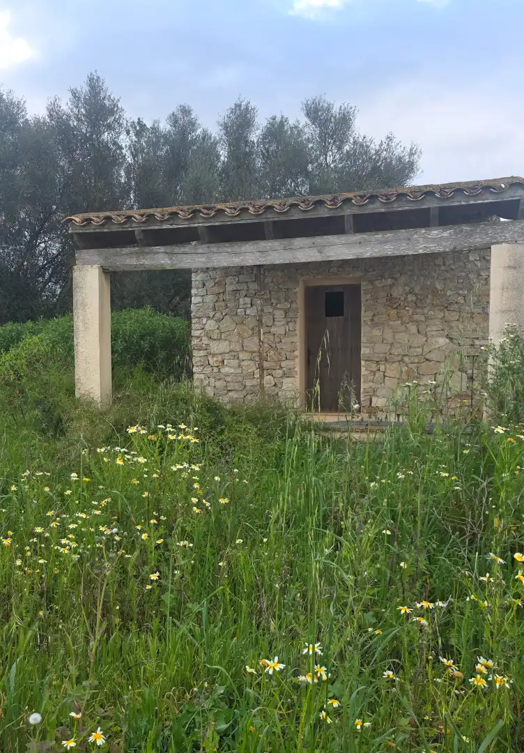 Rural land for sale in Felanitx Poble, imagen 2