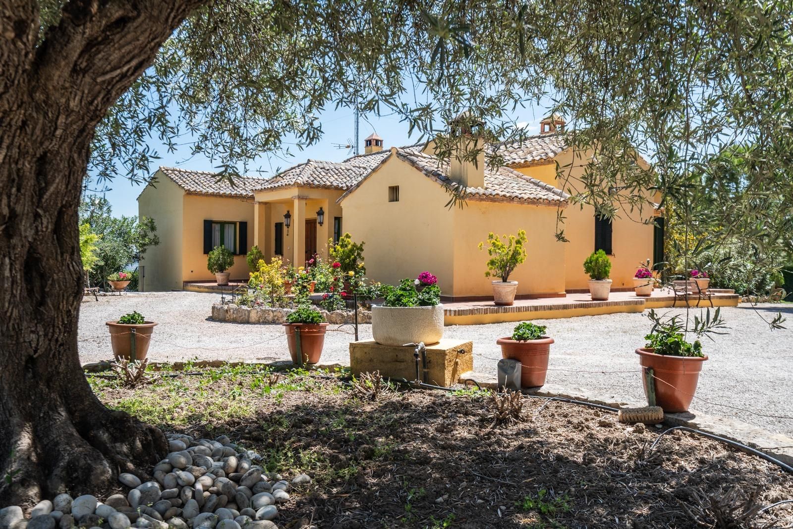 Vista exterior de Finca rústica en venda en Chinchón amb Aire condicionat, Calefacció i Jardí privat
