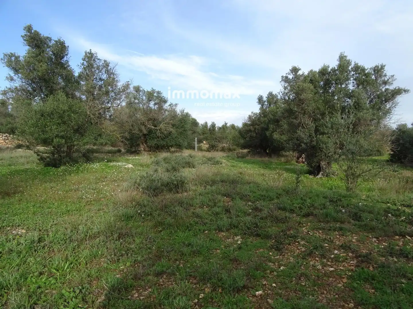 Terrain résidentiel à vendre à 16, imagen 18