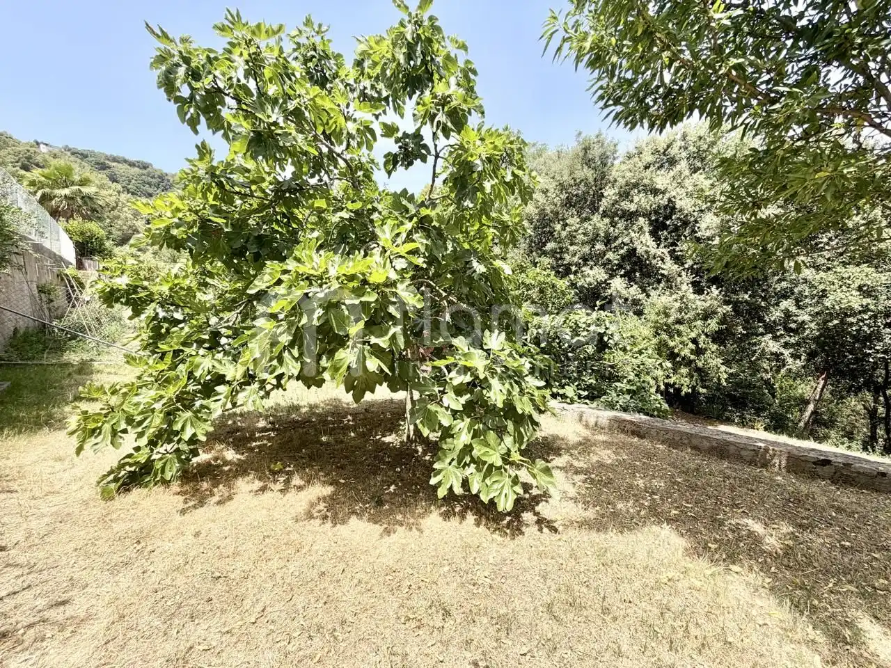 House for sale in Avinguda dels Arbres, imagen 48