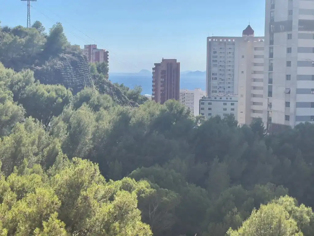 Vista exterior de Apartament en venda en Benidorm amb Aire condicionat, Jardí privat i Terrassa