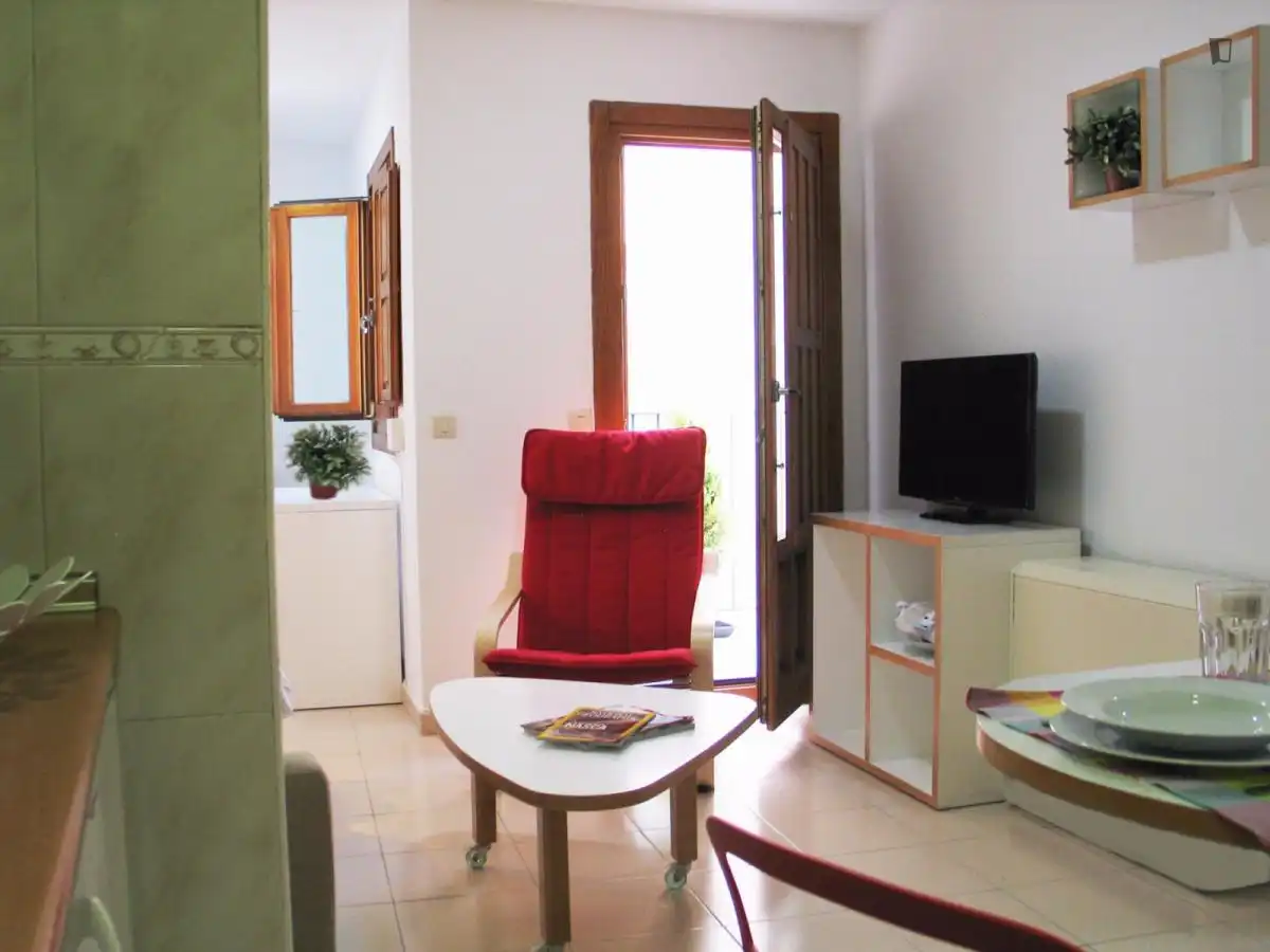 Apartament amb ascensor de lloguer a Centro, imagen 8