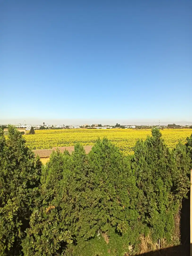Casa o chalet en venta en Trigueros