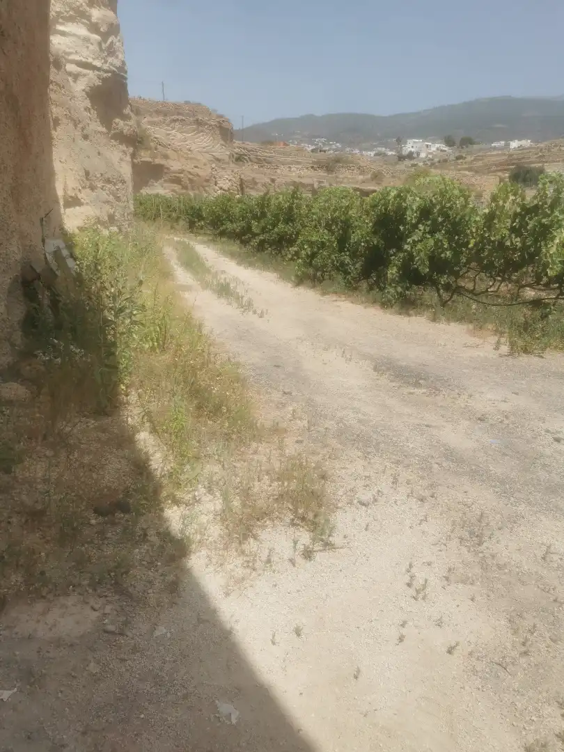 Terreny en venda en Granadilla de Abona
