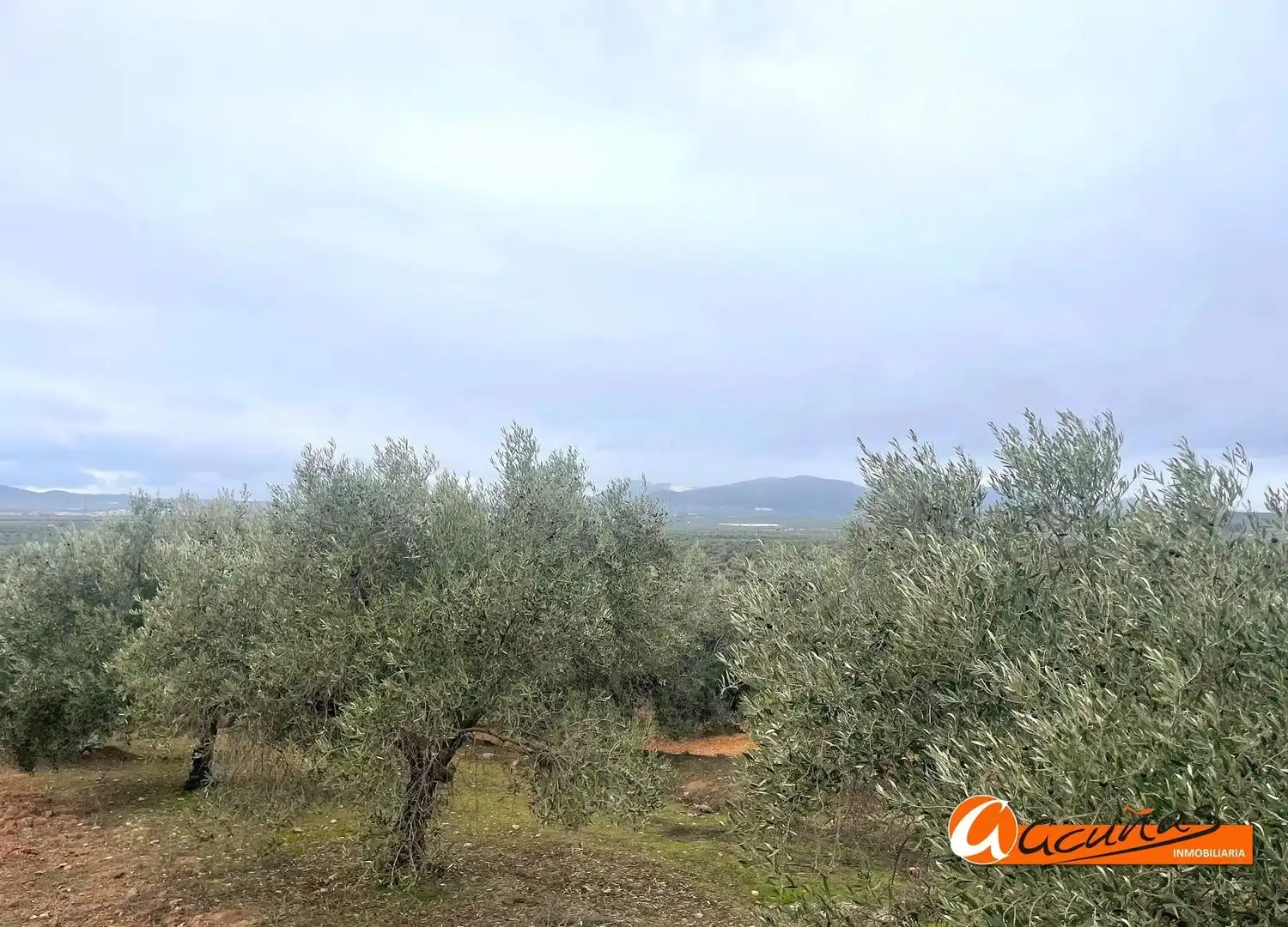 Terrenos y solares en venta en Alameda, imagen 41
